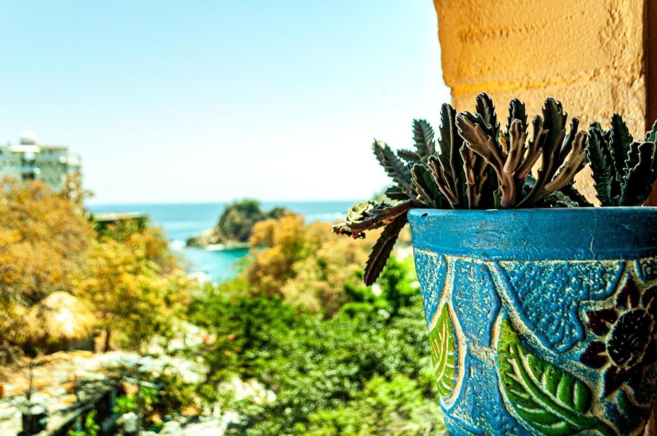Hotel Capy Puerto Ángel Екстериор снимка